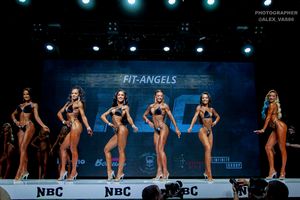 FIT-ANGELS РАУНД 1